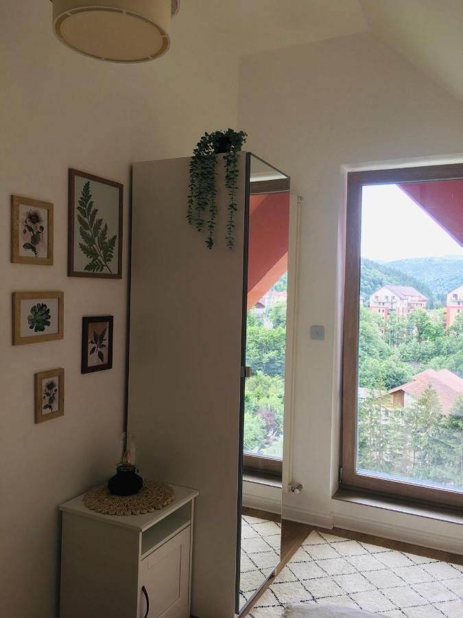 Hello Mountains Apartaments סינאיה מראה חיצוני תמונה